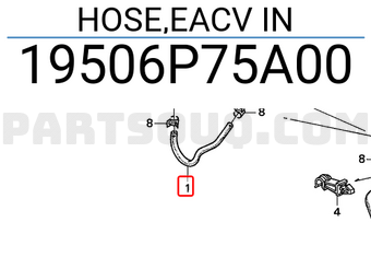 Honda 19506P75A00 HOSE,EACV IN