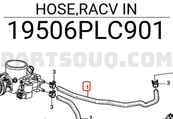 Honda 19506PLC901 HOSE,RACV IN