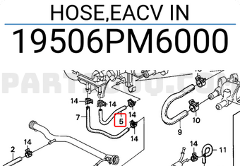 Honda 19506PM6000 HOSE,EACV IN