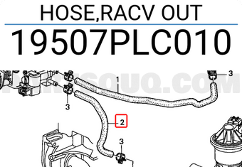 Honda 19507PLC010 HOSE,RACV OUT