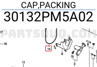 Honda 30132PM5A02 CAP,PACKING