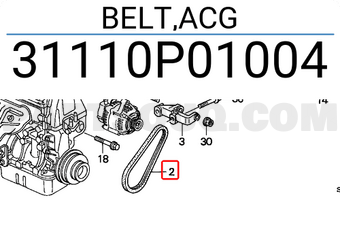 Honda 31110P01004 BELT,ACG