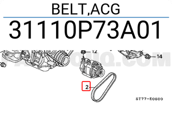 Honda 31110P73A01 BELT,ACG