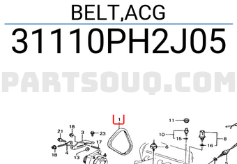 Honda 31110PH2J05 BELT,ACG