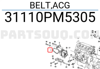 Honda 31110PM5305 BELT,ACG