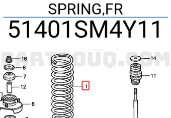 Honda 51401SM4Y11 SPRING,FR