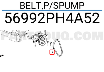 Honda 56992PH4A52 BELT,P/SPUMP