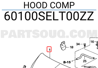 Honda 60100SELT00ZZ HOOD COMP