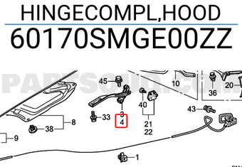 Honda 60170SMGE00ZZ HINGECOMPL,HOOD