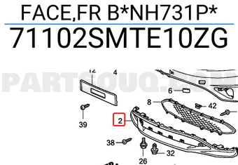 Honda 71102SMTE10ZG FACE,FR B*NH731P*