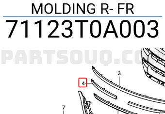 Honda 71123T0A003 MOLDING R- FR