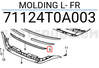 Honda 71124T0A003 MOLDING L- FR