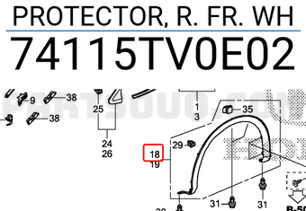Honda 74115TV0E02 PROTECTOR, R. FR. WH