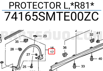 Honda 74165SMTE00ZC PROTECTOR L,*R81*