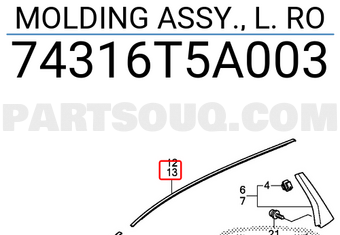 Honda 74316T5A003 MOLDING ASSY., L. RO