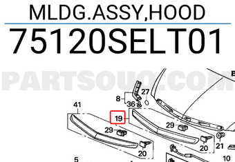 Honda 75120SELT01 MLDG.ASSY,HOOD