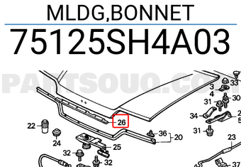 Honda 75125SH4A03 MLDG,BONNET