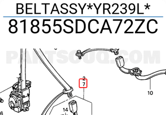 Honda 81855SDCA72ZC BELTASSY*YR239L*