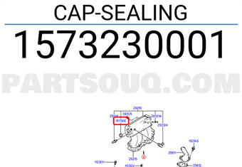Hyundai / KIA 1573230001 CAP-SEALING