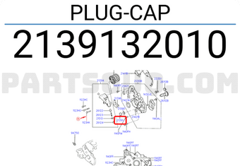 Hyundai / KIA 2139132010 PLUG-CAP