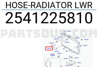 Hyundai / KIA 2541225810 HOSE-RADIATOR LWR