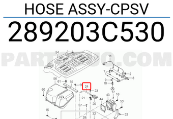 Hyundai / KIA 289203C530 HOSE ASSY-CPSV