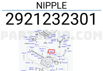 Hyundai / KIA 2921232301 NIPPLE