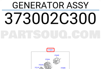 Hyundai / KIA 373002C300 GENERATOR ASSY