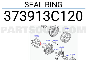 Hyundai / KIA 373913C120 SEAL RING