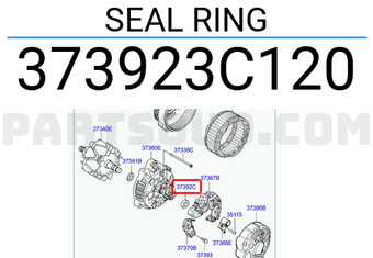 Hyundai / KIA 373923C120 SEAL RING