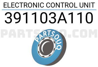 Hyundai / KIA 391103A110 ELECTRONIC CONTROL UNIT
