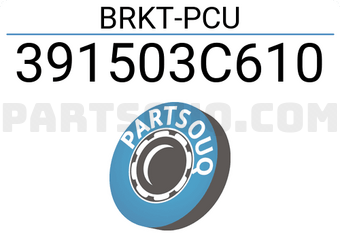 Hyundai / KIA 391503C610 BRKT-PCU