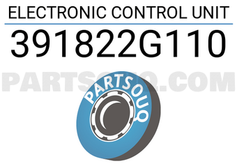 Hyundai / KIA 391822G110 ELECTRONIC CONTROL UNIT