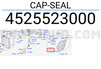 Hyundai / KIA 4525523000 CAP-SEAL