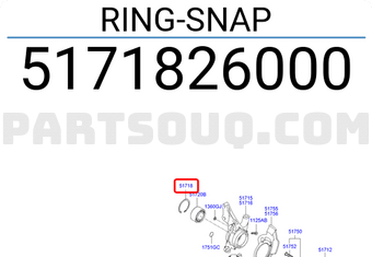 Hyundai / KIA 5171826000 RING-SNAP