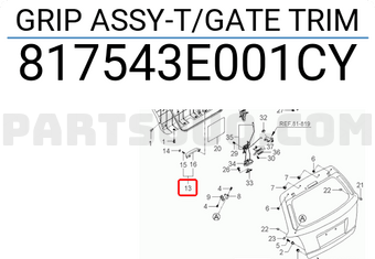 Hyundai / KIA 817543E001CY GRIP ASSY-T/GATE TRIM