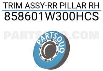 Hyundai / KIA 858601W300HCS TRIM ASSY-RR PILLAR RH
