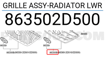 Hyundai / KIA 863502D500 GRILLE ASSY-RADIATOR LWR