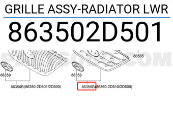 Hyundai / KIA 863502D501 GRILLE ASSY-RADIATOR LWR