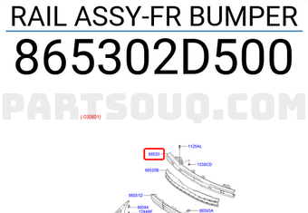 Hyundai / KIA 865302D500 RAIL ASSY-FR BUMPER