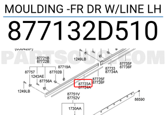 Hyundai / KIA 877132D510 MOULDING -FR DR W/LINE LH