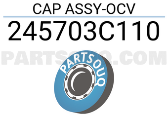 Mobis 245703C110 CAP ASSY-OCV