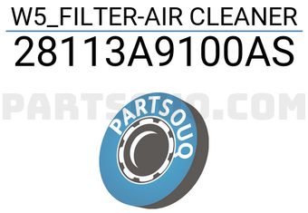 Mobis 28113A9100AS W5_FILTER-AIR CLEANER