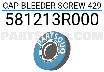 Mobis 581213R000 CAP-BLEEDER SCREW 429