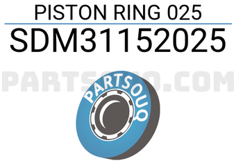 NPR SDM31152025 PISTON RING 025