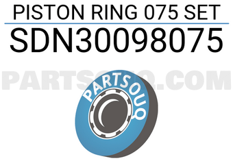 NPR SDN30098075 PISTON RING 075 SET