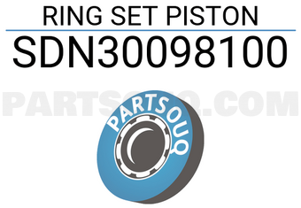NPR SDN30098100 RING SET PISTON