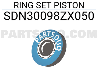 NPR SDN30098ZX050 RING SET PISTON