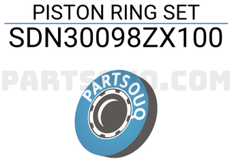 NPR SDN30098ZX100 PISTON RING SET
