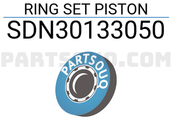 NPR SDN30133050 RING SET PISTON